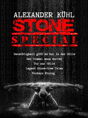 cover image of Stone--Special Edition